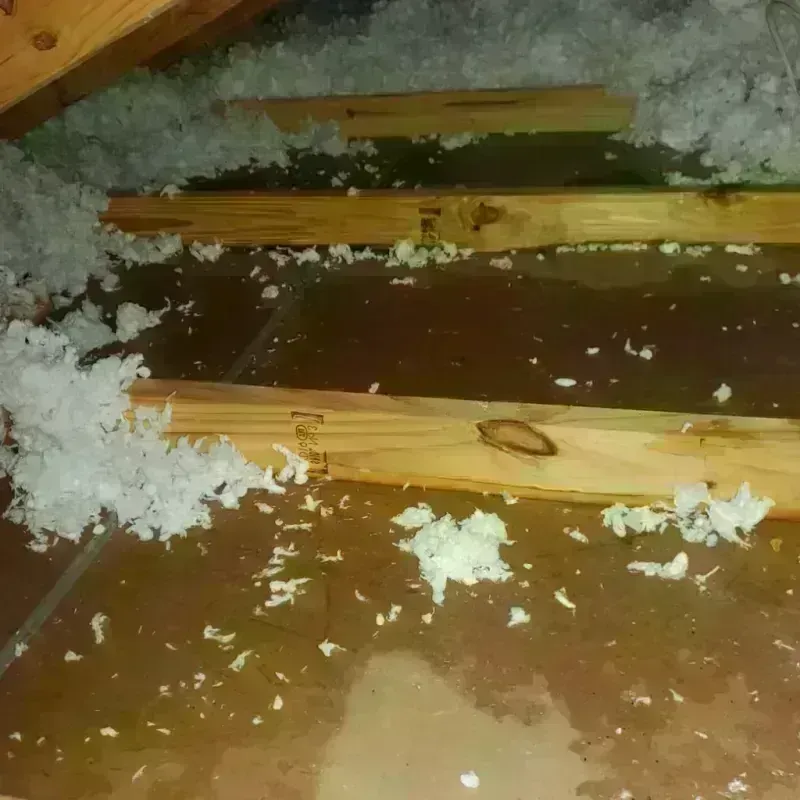 Attic Water Damage in Green County, WI