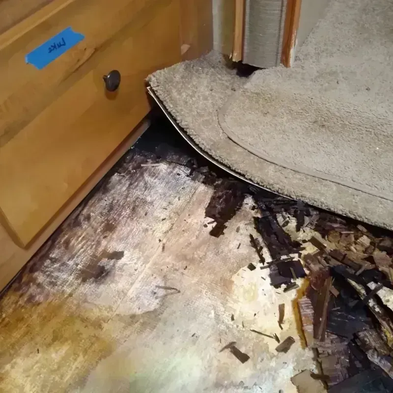 Best Wood Floor Water Damage Service in Green County, WI